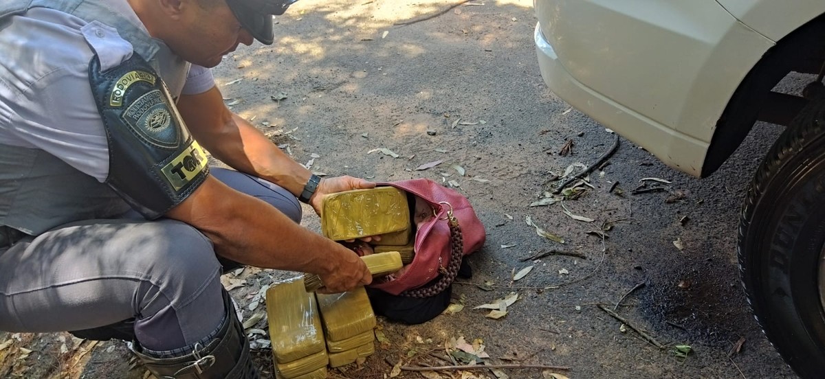 Passageira de ônibus é flagrada com tabletes de pasta base cocaína em rodovia de Bauru