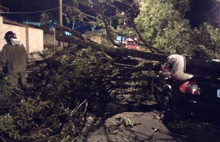 Temporal destelha imóveis e provoca queda de árvores em Bariri