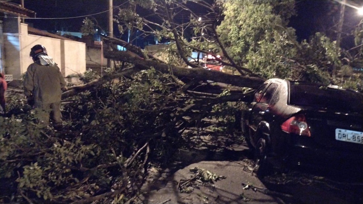 Temporal destelha imóveis e provoca queda de árvores em Bariri