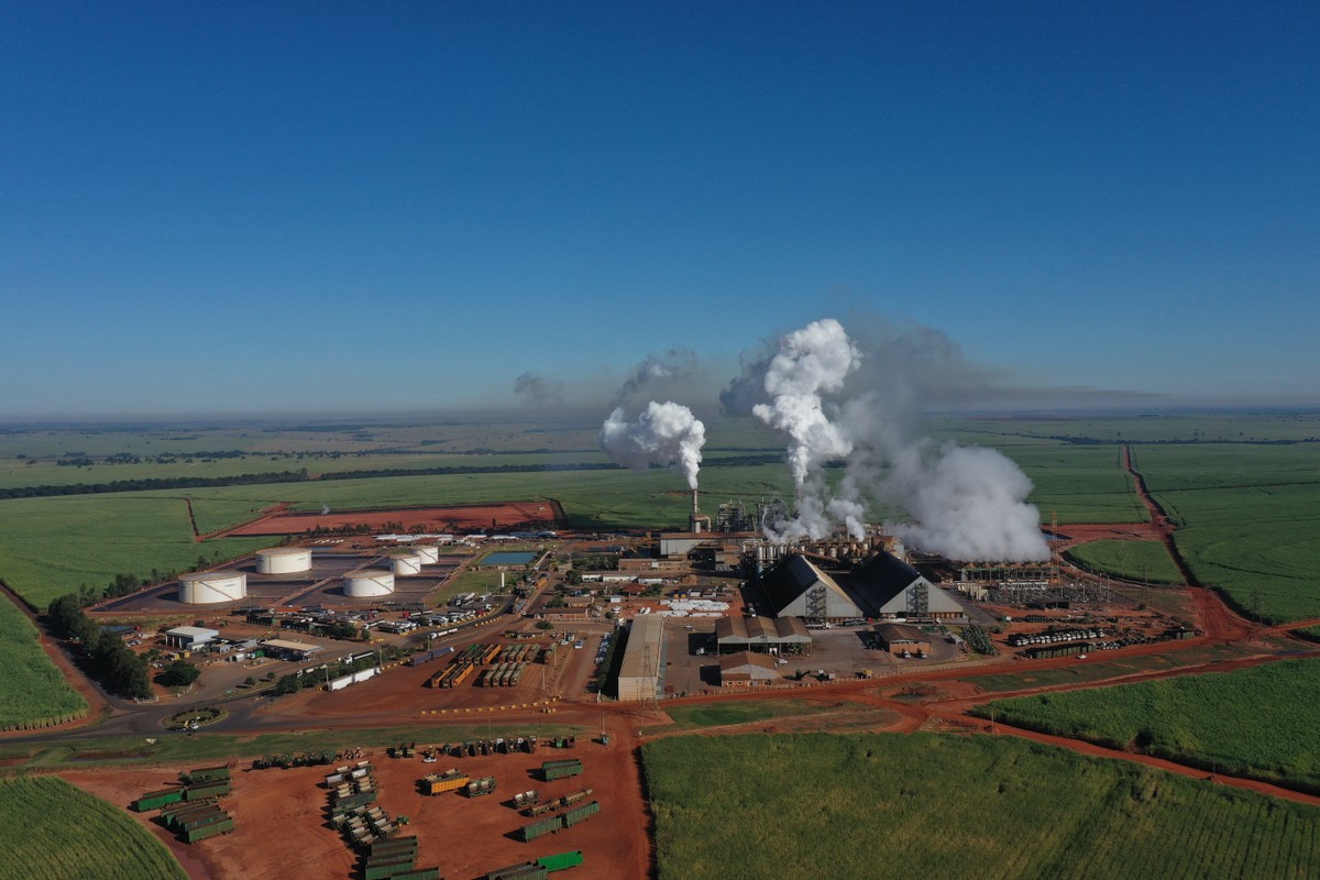 Agroindústria sucroalcooleira abre mais de 200 oportunidades de trabalho em Junqueirópolis; veja como participar do cadastramento