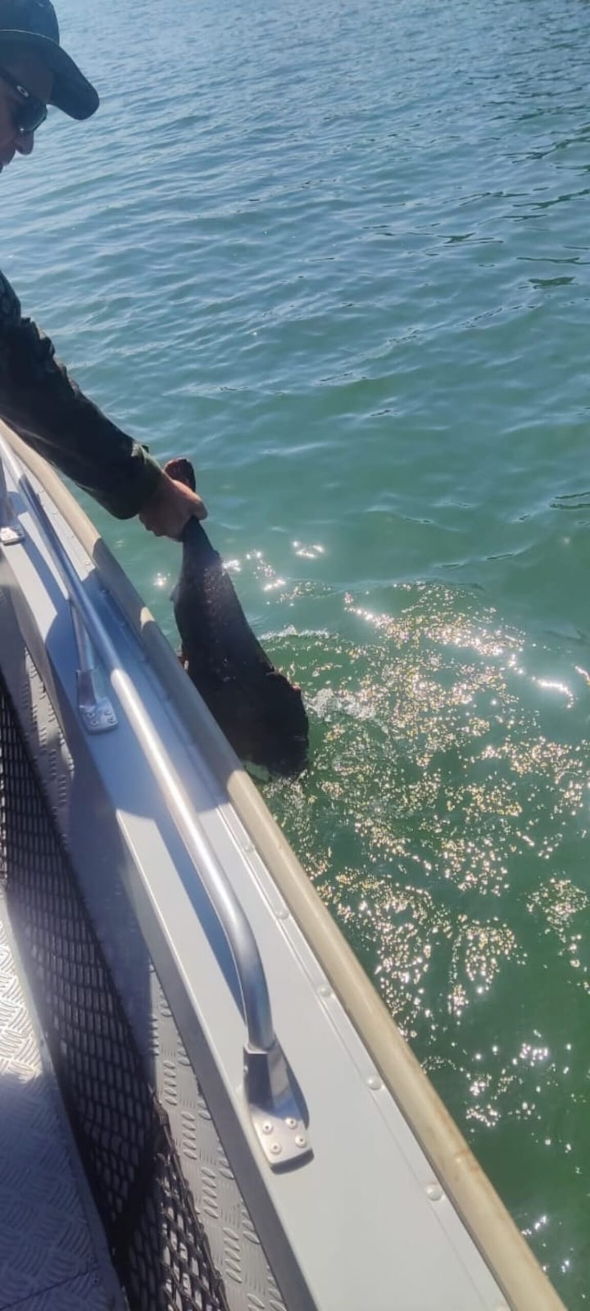 Fiscalização flagra pescador em atividade irregular durante a piracema no Rio Paraná e apreende barco, motor e caniço, em Paulicéia