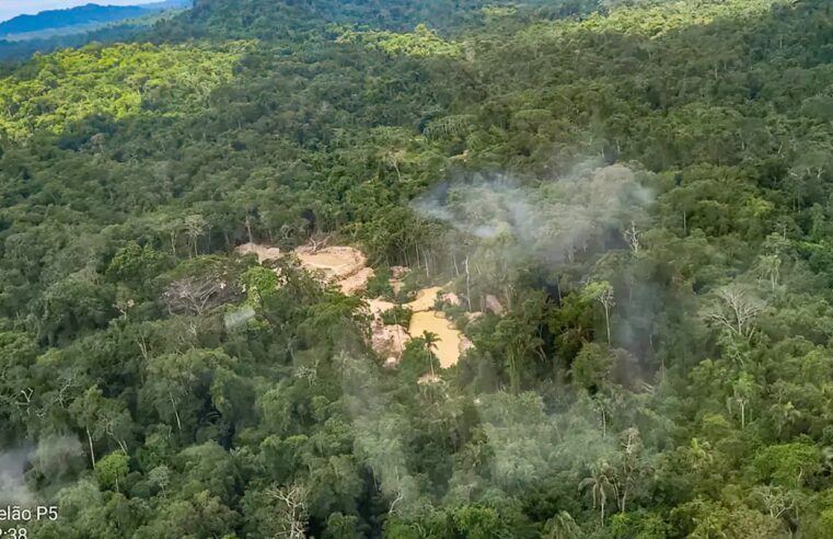 Comissão do Senado aprova porte de arma a agentes da Funai