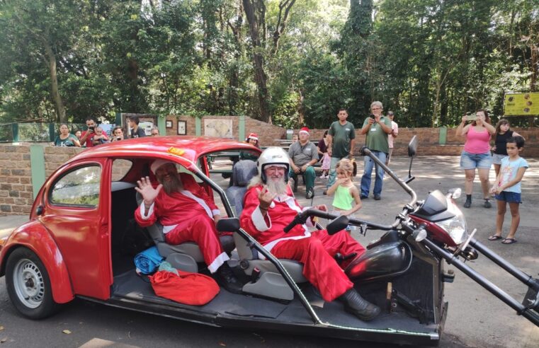 No clima do Natal, zoológico de Bauru é decorado e recebe visita do Papai Noel | Bauru e Marília