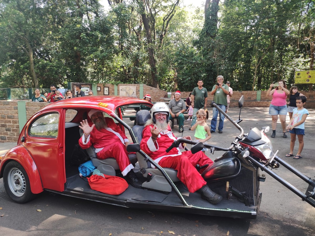 No clima do Natal, zoológico de Bauru é decorado e recebe visita do Papai Noel | Bauru e Marília