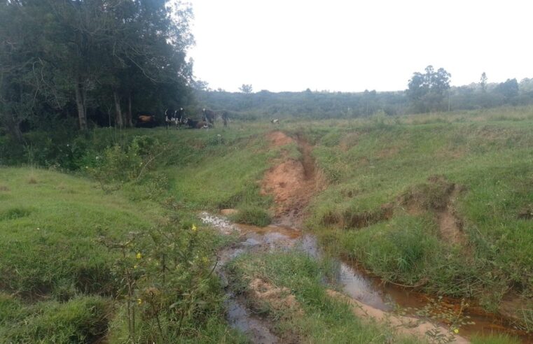 Pecuarista é multado em R$ 168 mil por degradar área de preservação ambiental em Cabrália Paulista