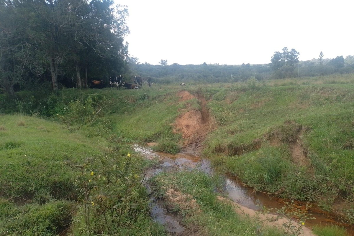 Pecuarista é multado em R$ 168 mil por degradar área de preservação ambiental em Cabrália Paulista