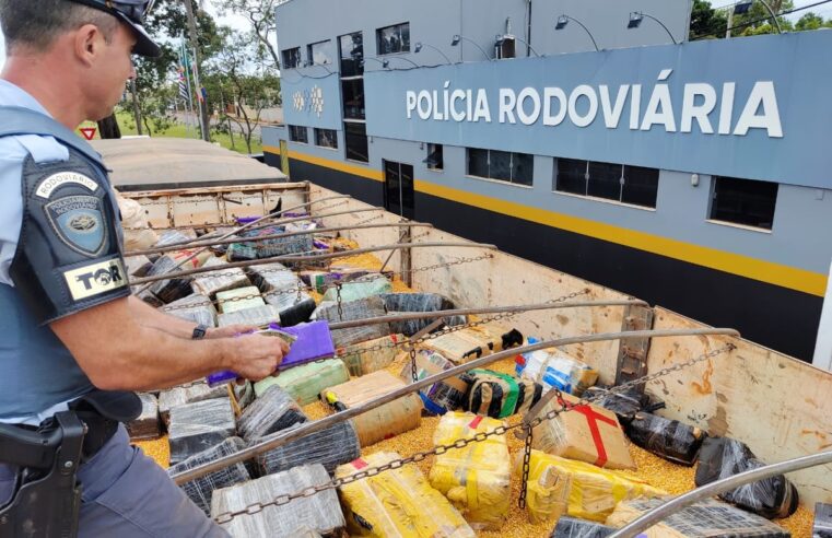 Homens são presos com fardos de maconha escondidos entre carga de milho em rodovia de Jaú