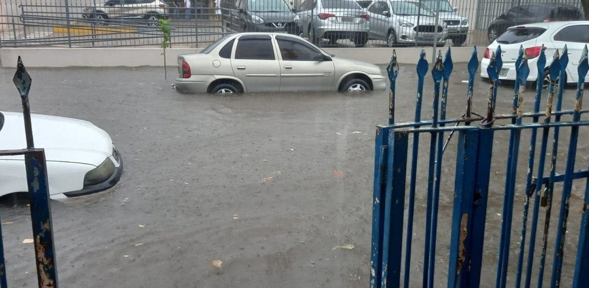 Chuva provoca queda de árvores e pontos de alagamento em Presidente Prudente