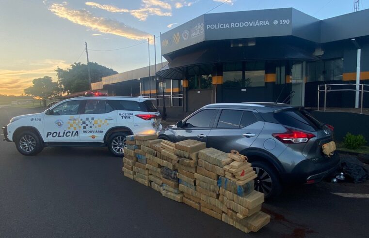 Motorista é flagrado com quase 570 kg de maconha em Santa Cruz do Rio Pardo