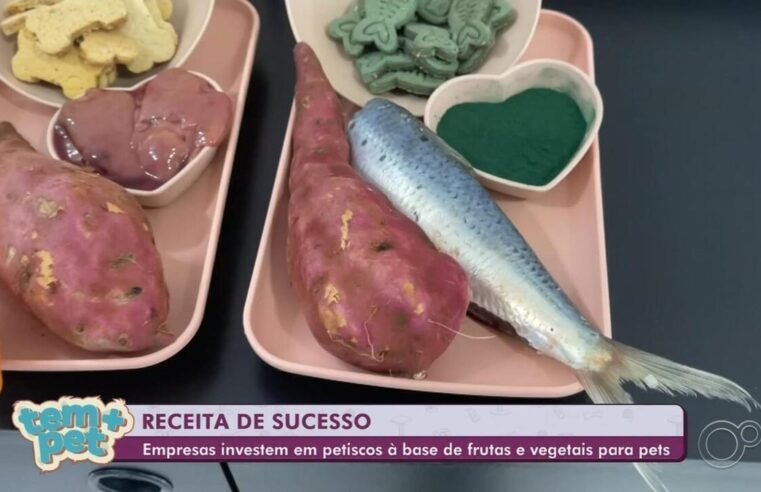 Com petiscos exóticos, alimentação natural é aposta para o mercado pet | Tem mais pet