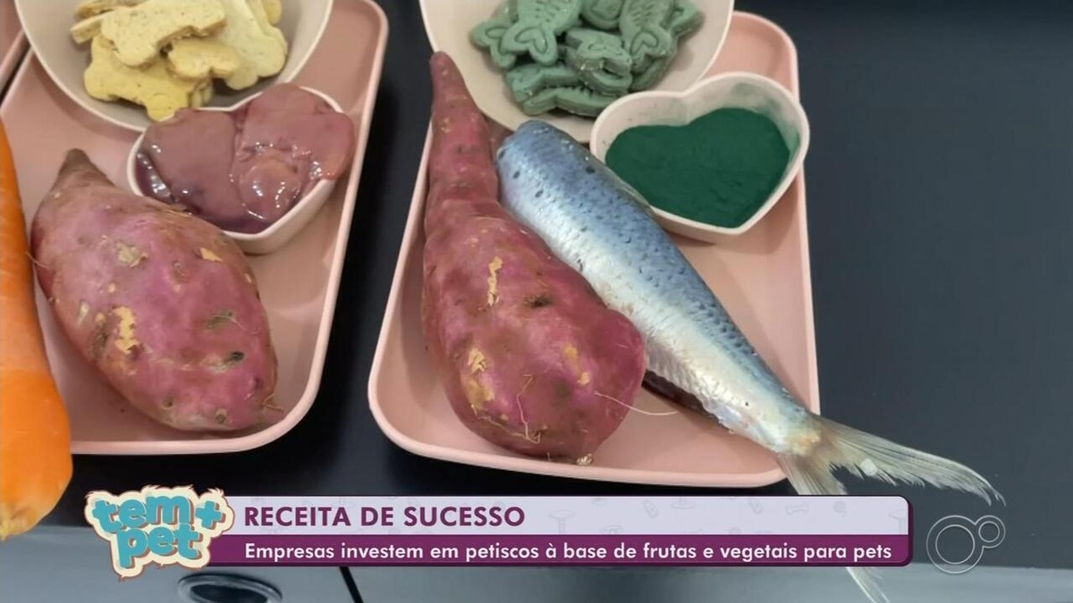 Com petiscos exóticos, alimentação natural é aposta para o mercado pet | Tem mais pet