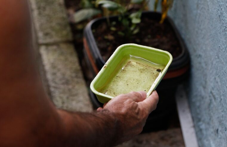 Dengue: DF vai aplicar multa em caso de descarte irregular de lixo