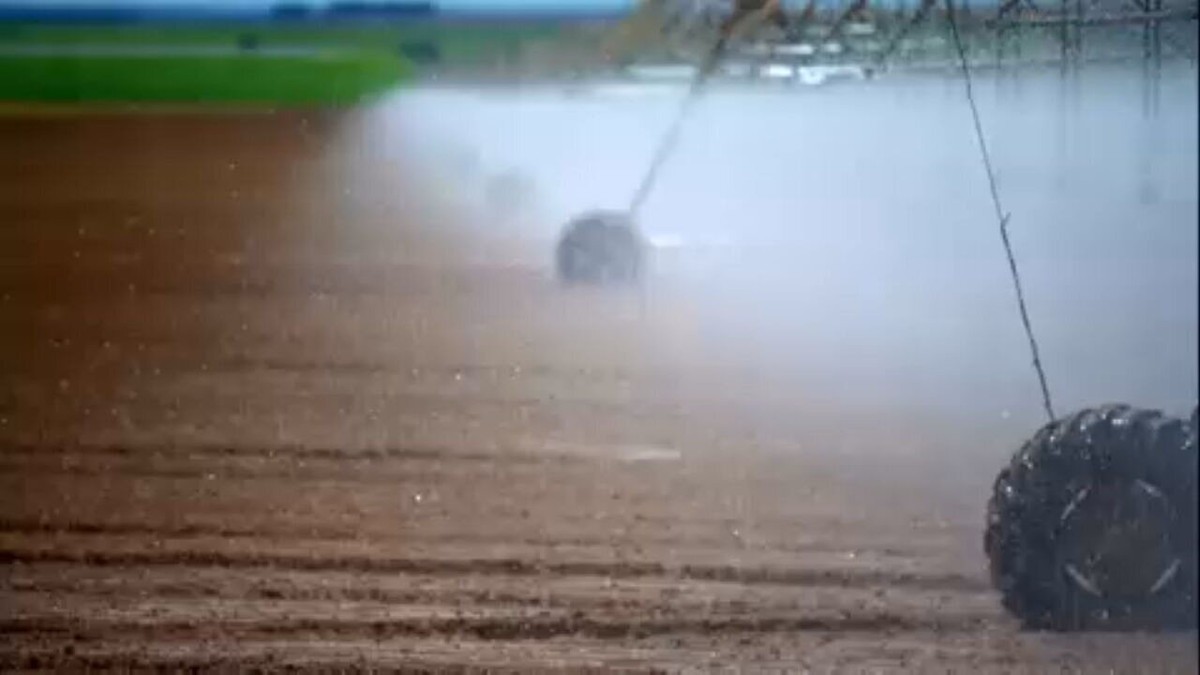 Futuro da agropecuária: Globo Rural percorre o Brasil e mostra exemplos de quem produz conservando a natureza