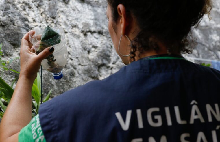 Minas Gerais pode atingir pico de dengue até março