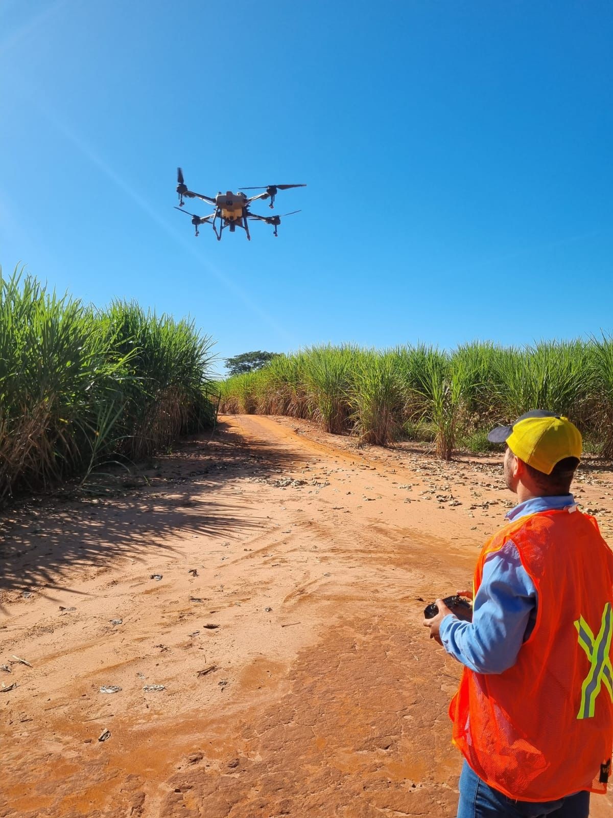 Piloto de drone é uma das profissões em alta em 2024; veja como são as oportunidades no agro | Agronegócios