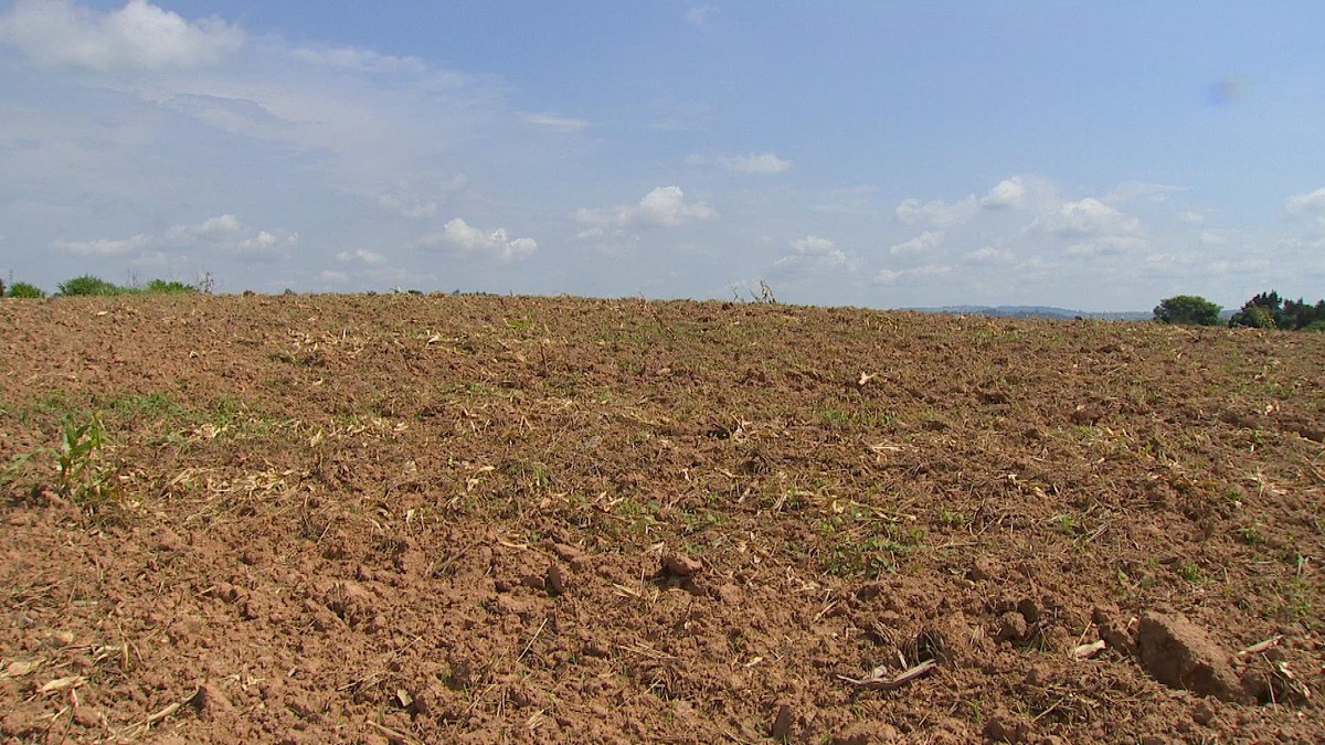 Terra valorizada dificulta expansão agrícola perto de áreas urbanas