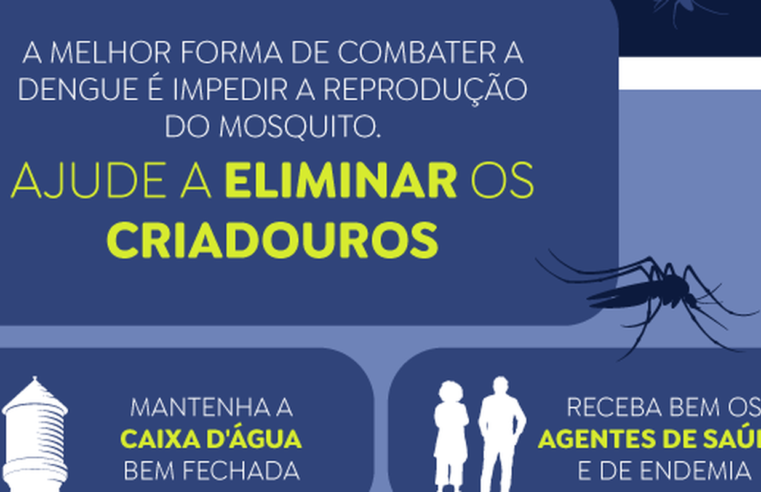 Casos prováveis de dengue se aproximam de 400 mil no país em 2024