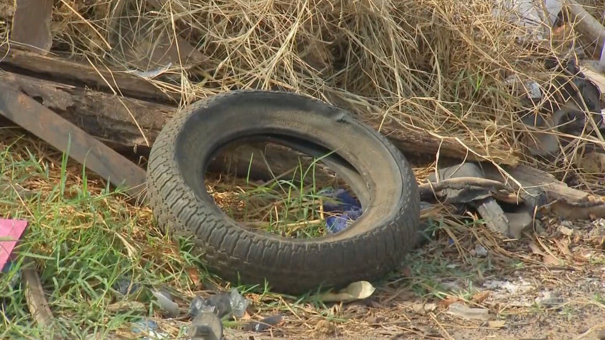 Com mais de 1,2 mil casos de dengue, Marília intensifica ações contra o mosquito Aedes aegypti