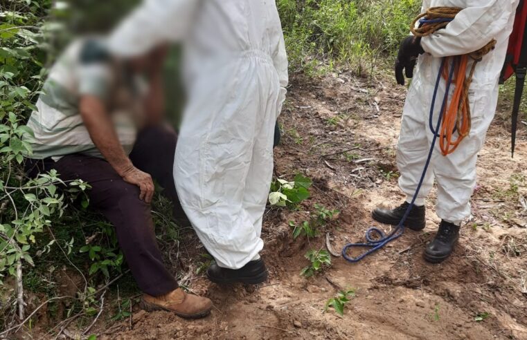 Homens são atacados por abelhas-europeias em Quintana