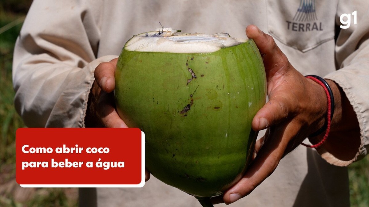 Aprenda a abrir coco e curar a ressaca pós-Carnaval | Agronegócios