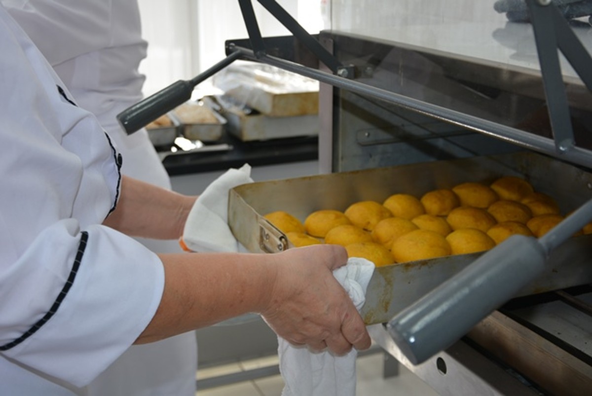 Câmara promulga lei que permite fornecimento de alimentação escolar aos profissionais da educação, em Presidente Prudente | Presidente Prudente e Região