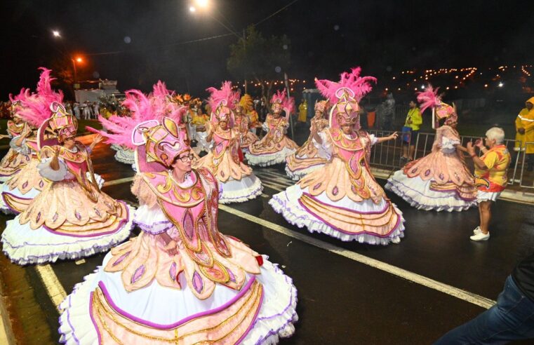 Carnaval 2024: confira a programação dos blocos, shows e desfiles de escolas de samba na região | Bauru e Marília