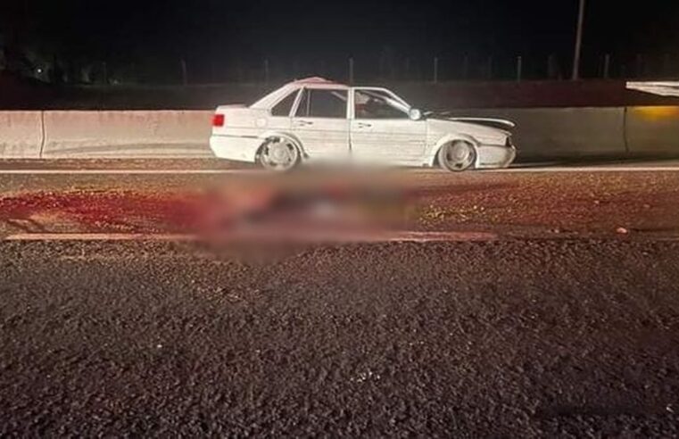 Cavalo invade pista, é atropelado duas vezes e causa série de acidentes em rodovia de Garça | Bauru e Marília