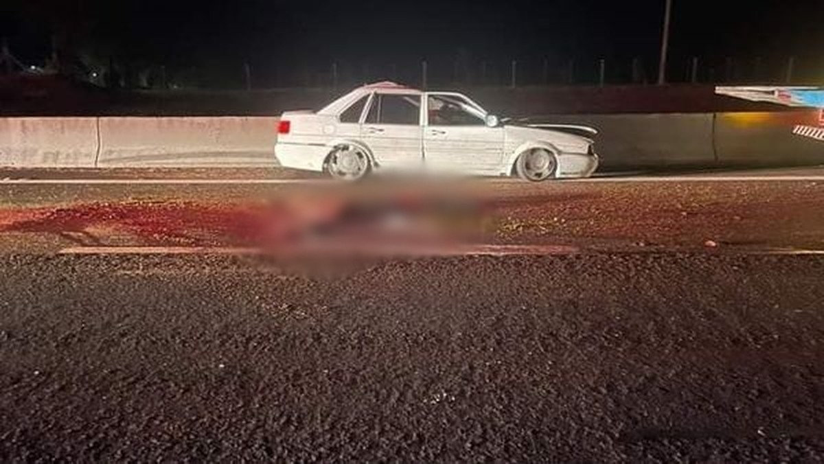 Cavalo invade pista, é atropelado duas vezes e causa série de acidentes em rodovia de Garça | Bauru e Marília