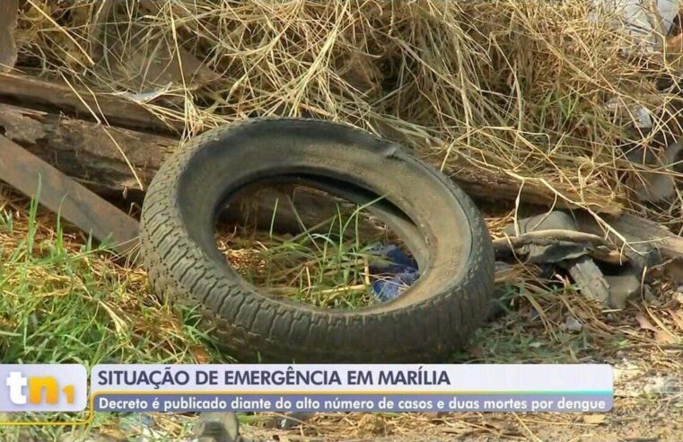 Marília decreta estado de emergência contra dengue após duas mortes pela doença | Bauru e Marília