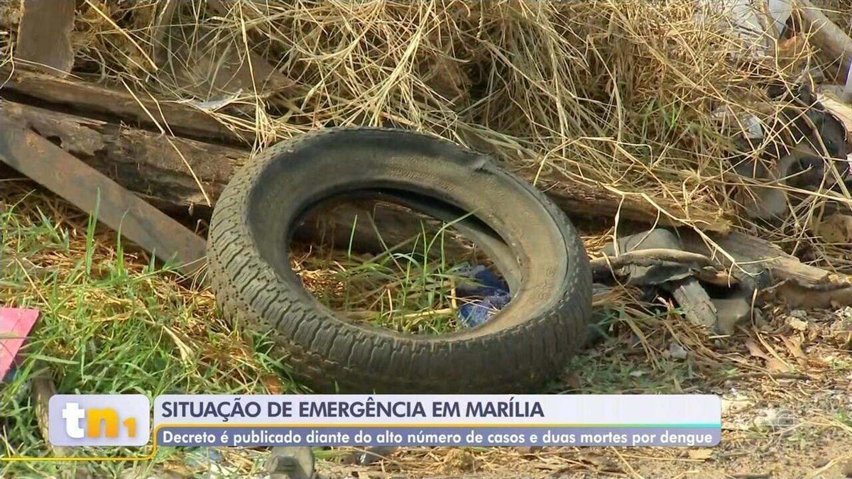 Marília decreta estado de emergência contra dengue após duas mortes pela doença | Bauru e Marília