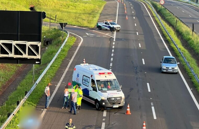 Motociclista morre após cair da moto ao tentar desviar de animais na rodovia em Botucatu