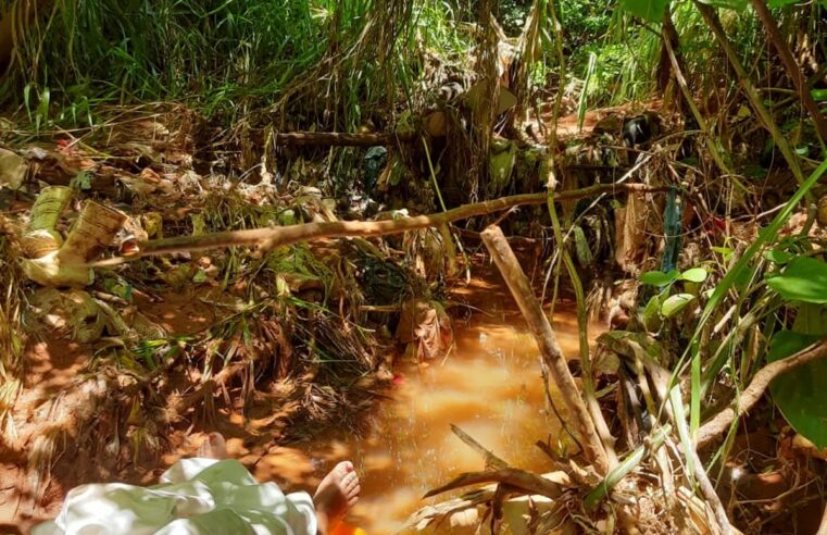 Mulher é socorrida desacordada ao lado de córrego após ser atacada por enxame de abelhas em Tupã | Bauru e Marília