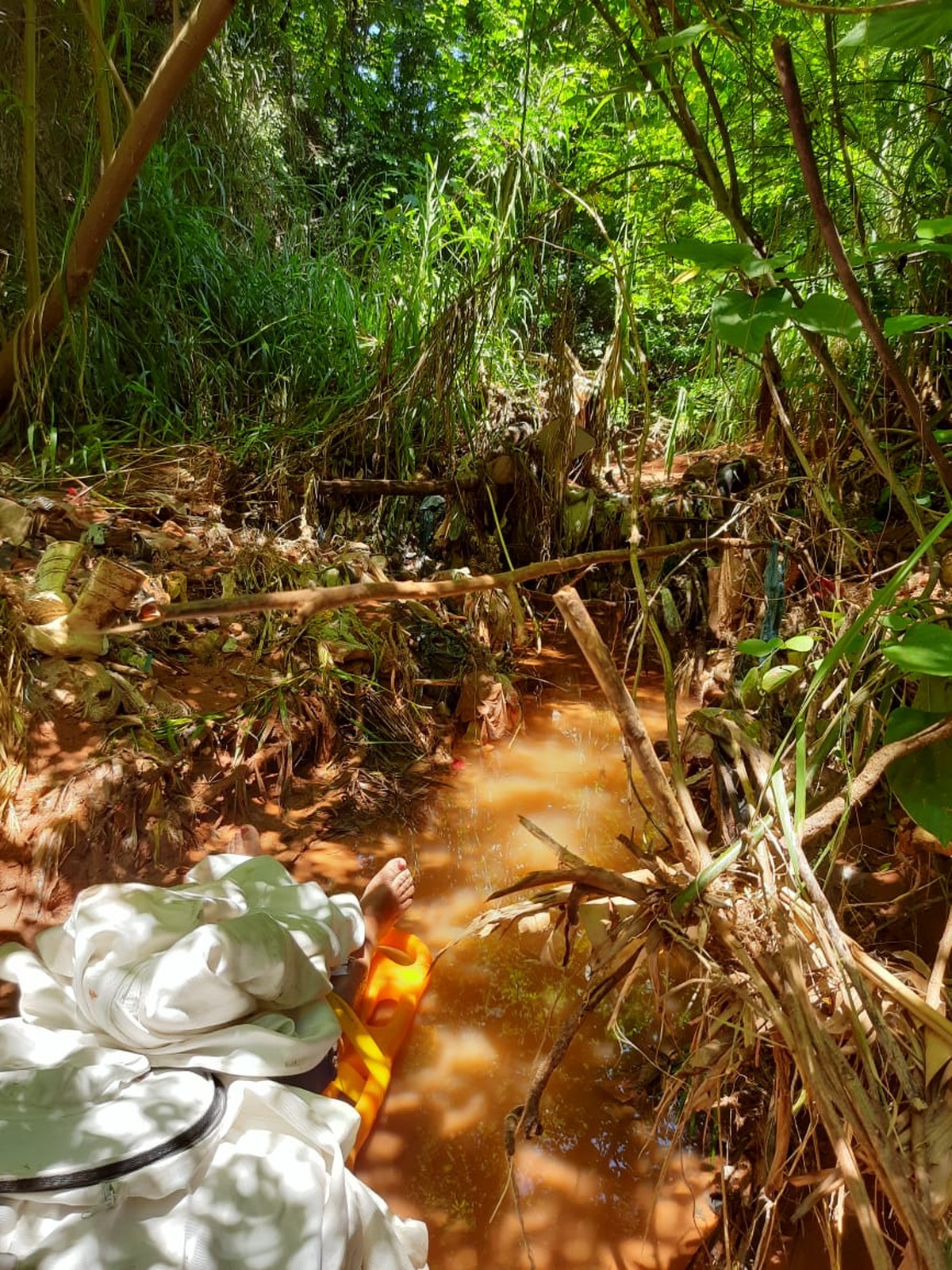 Mulher é socorrida desacordada ao lado de córrego após ser atacada por enxame de abelhas em Tupã | Bauru e Marília