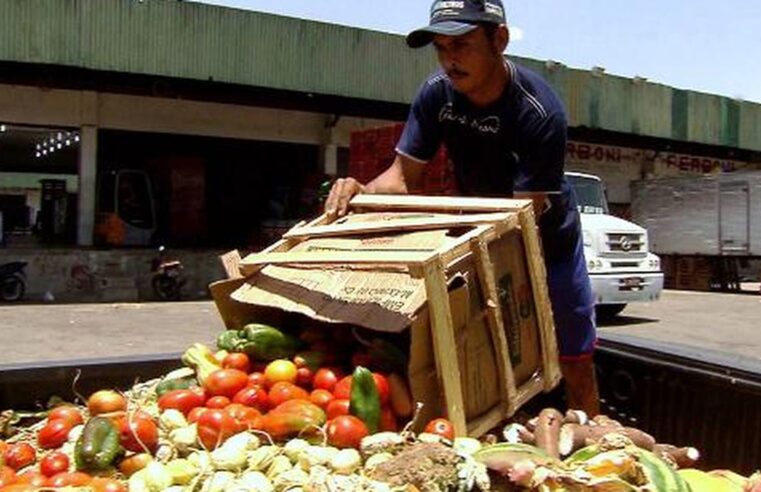 Pesquisa traz dicas sobre como reduzir desperdício de alimentos