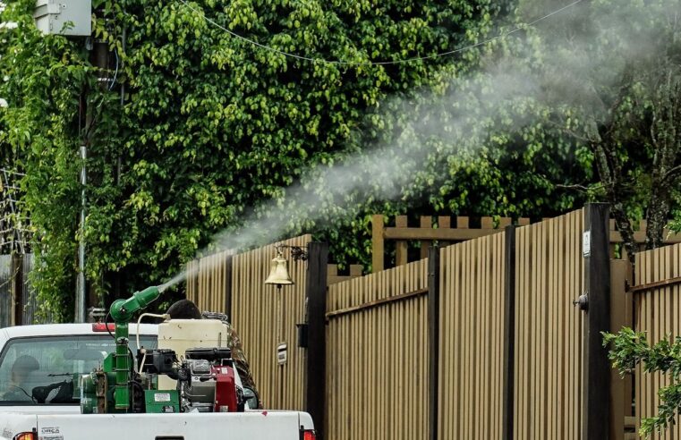 Rio de Janeiro confirma segunda morte por dengue