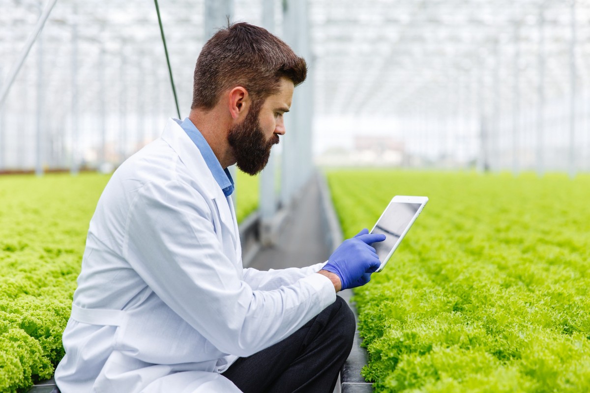 Agro nacional soma 28,3 milhões de trabalhadores e equivale a 26,8% do total de ocupações no Brasil, diz CNA/USP