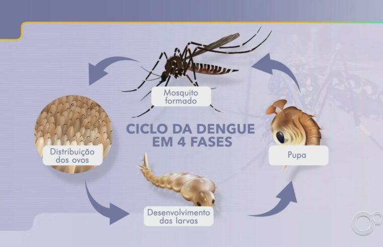 Pompeia confirma 1ª morte por dengue; centro-oeste de SP contabiliza 39 óbitos | Bauru e Marília