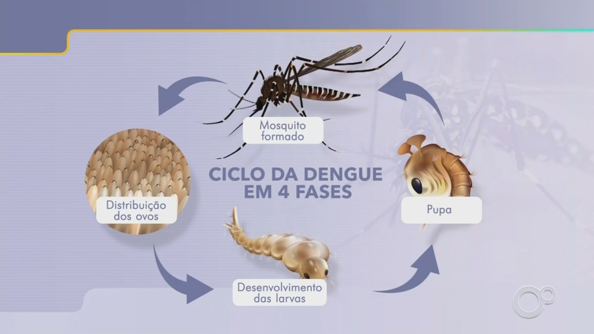 Pompeia confirma 1ª morte por dengue; centro-oeste de SP contabiliza 39 óbitos | Bauru e Marília