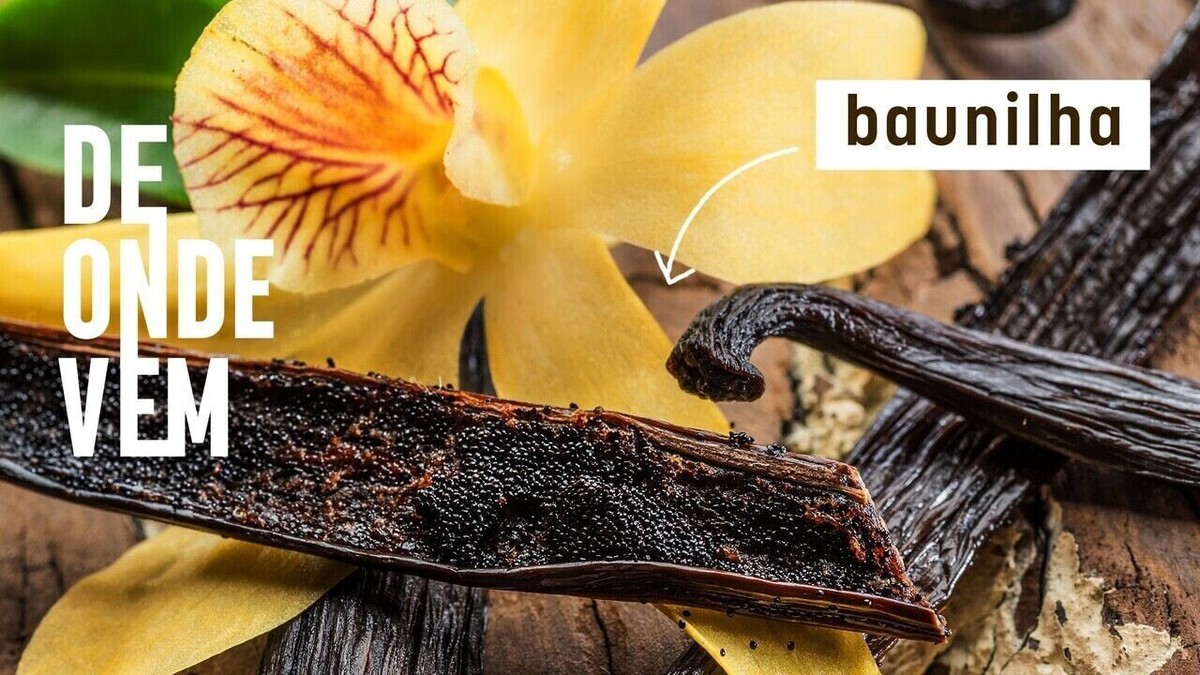 Aromatizante de baunilha não tem baunilha de verdade; g1 explica