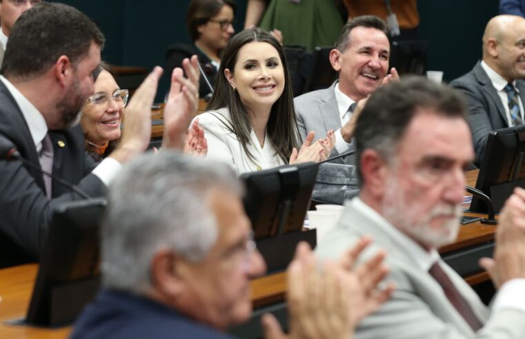 Controle de 19 das 30 comissões permanentes da Câmara estão definidos