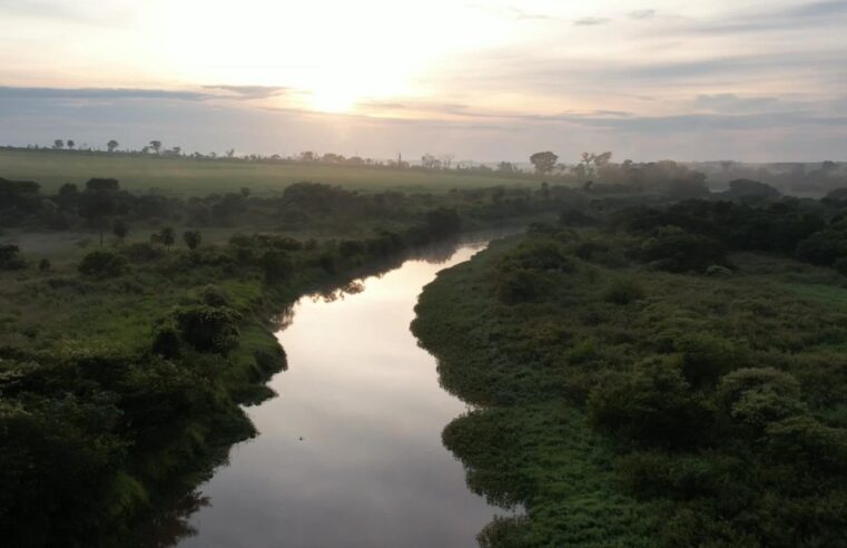 Dá para encontrar até jacaré em um dos rios mais preservados do estado | Nosso Campo