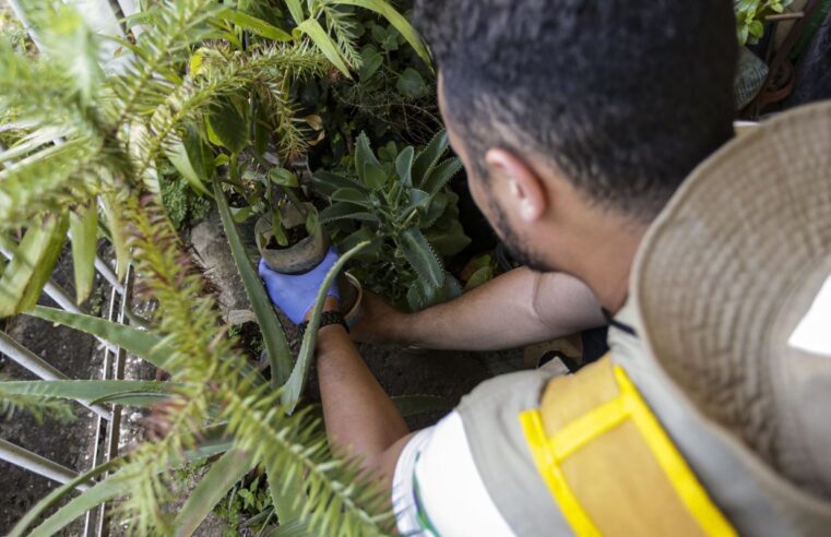 Dia D: secretarias de saúde promovem ações de combate à dengue