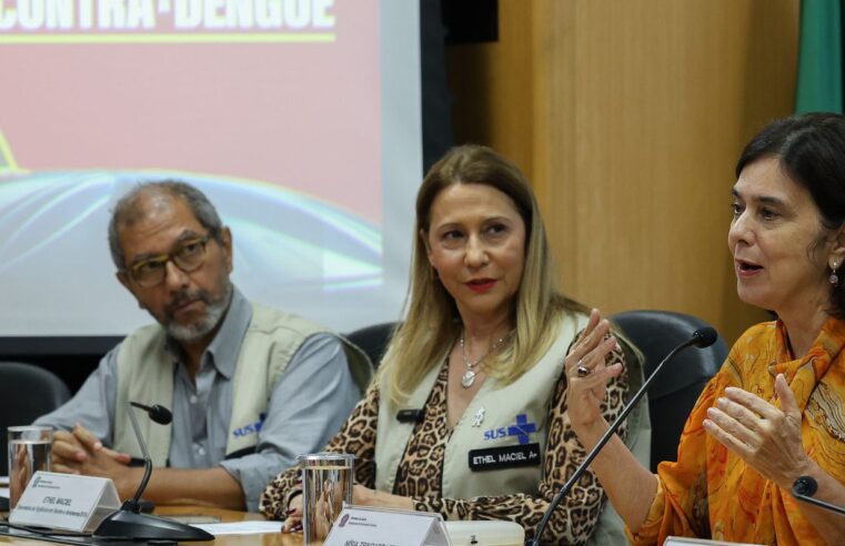 Juntas, dengue e gripe podem pressionar sistema de saúde, diz ministra