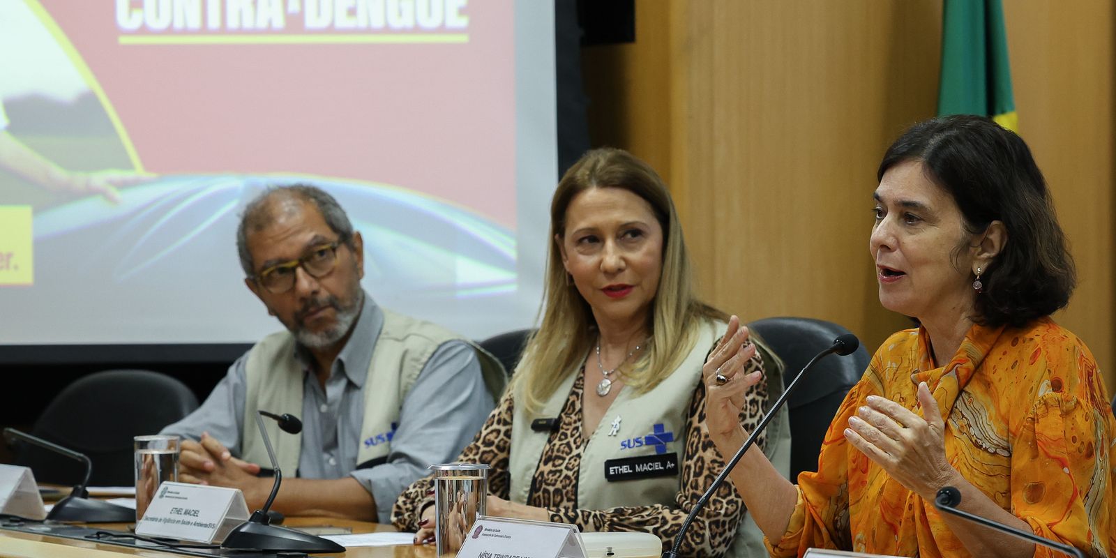 Juntas, dengue e gripe podem pressionar sistema de saúde, diz ministra