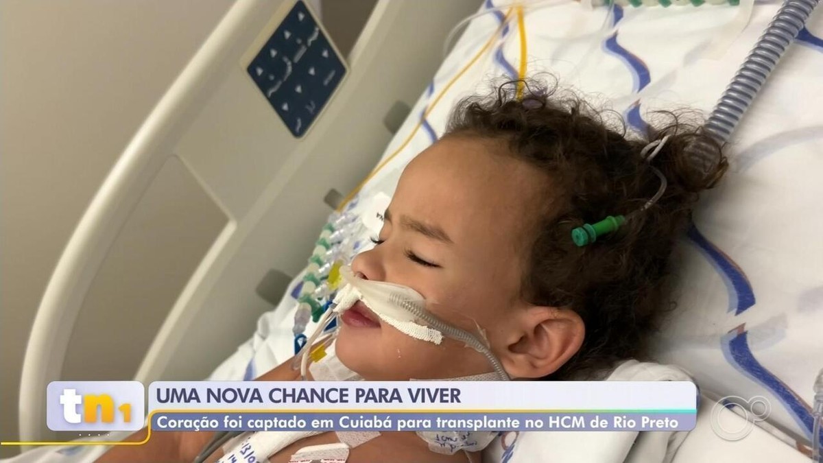 Menina de 3 anos recebe doação de coração em tempo recorde em hospital no interior de SP | São José do Rio Preto e Araçatuba