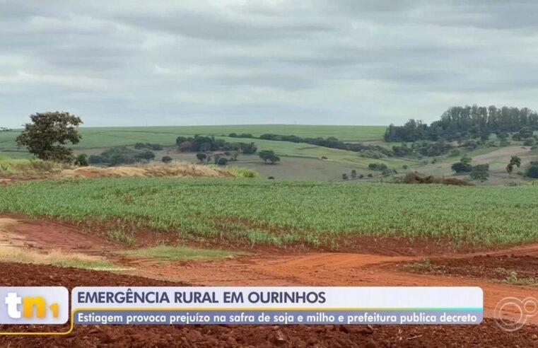 Ourinhos decreta situação de emergência após prejuízos por conta da falta de chuva | Bauru e Marília