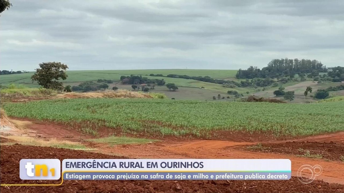 Ourinhos decreta situação de emergência após prejuízos por conta da falta de chuva | Bauru e Marília