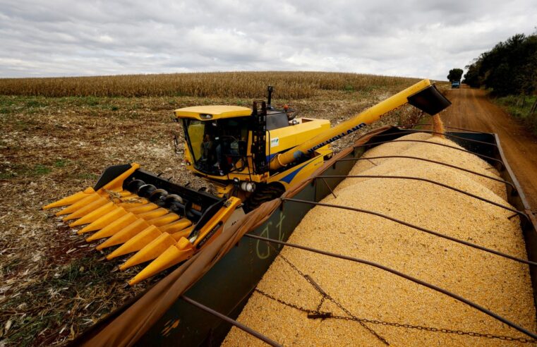 Baixa nas commodities, seca, recuo de vendas: quais as projeções do setor de máquinas agrícolas para 2024 | Agrishow