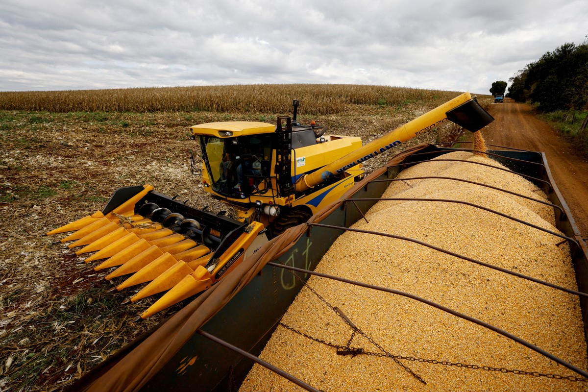 PIB do Brasil cresce 2,9% em 2023, diz IBGE | Economia