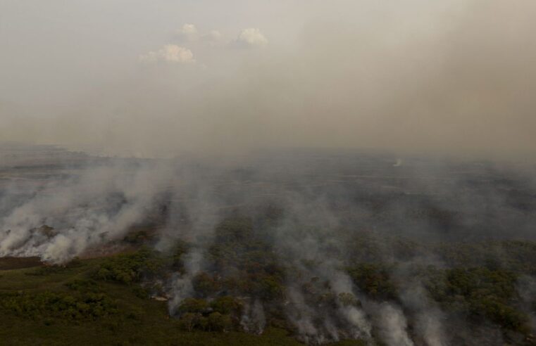 PL que muda Código Florestal vai desproteger 48 milhões de hectares